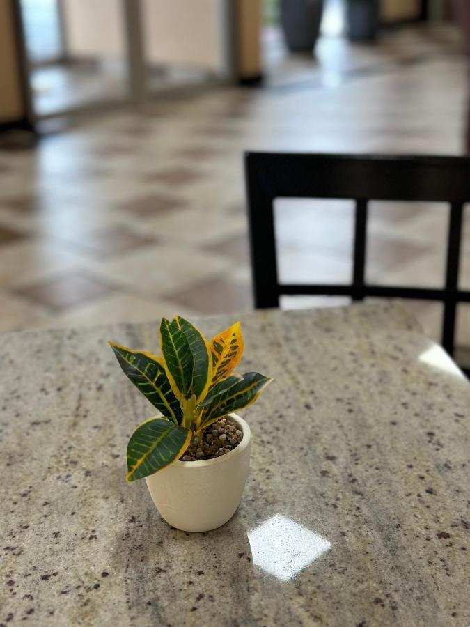 ארדמור Econo Lodge מראה חיצוני תמונה